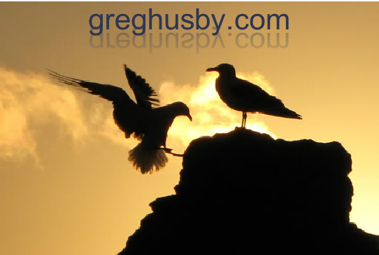 greghusby.com